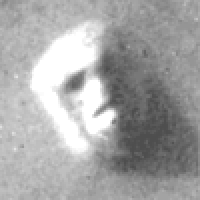 The Face in Mars